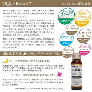 SQC-EX・リーフレット（裏）